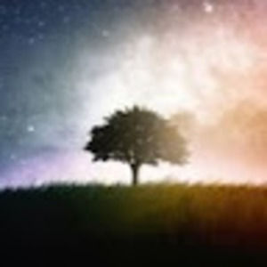 Meet your Posher, Eve